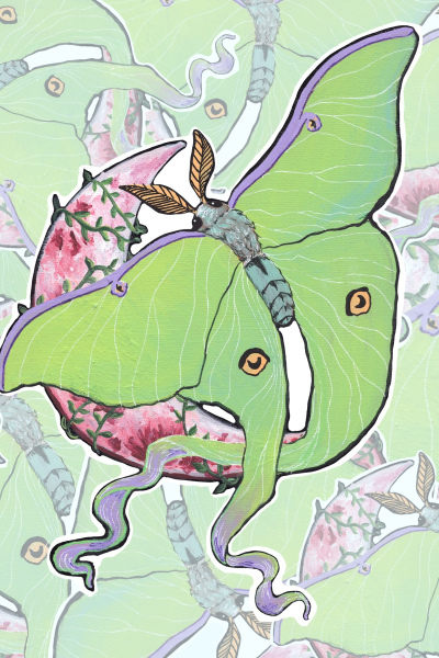Lunar Moth sticker